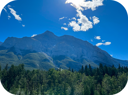 Mountains and forest
