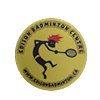 Badminton shuttle logo